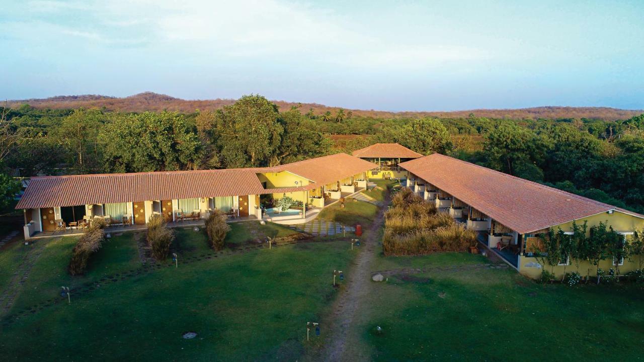 Asiatic Lion Lodge Sasan Gir Esterno foto
